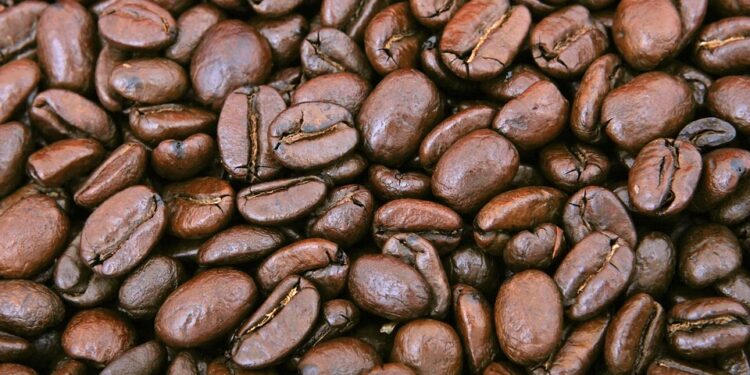 Exploring the Richness of Single-Origin Coffee: A Journey Through the World’s Finest Beans