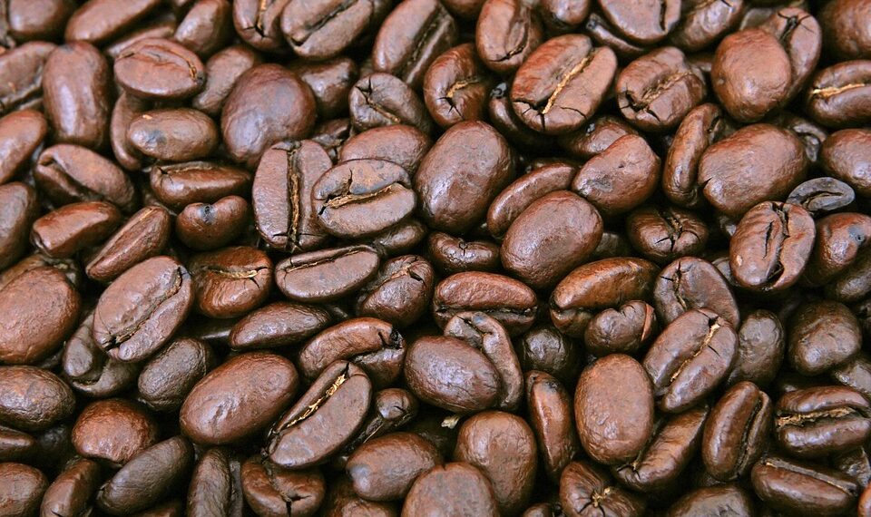 Exploring the Richness of Single-Origin Coffee: A Journey Through the World’s Finest Beans