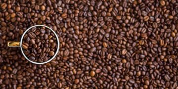 Embarking on the Java Journey: A Beginner’s Guide to Coffee
