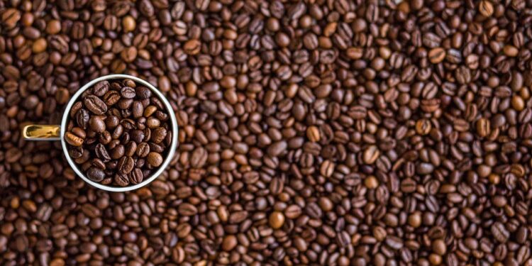 Embarking on the Java Journey: A Beginner’s Guide to Coffee