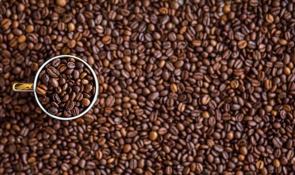Embarking on the Java Journey: A Beginner’s Guide to Coffee