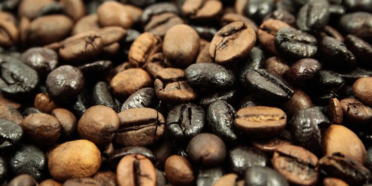 The Art of Roasting: Mastering the Perfect Coffee Bean