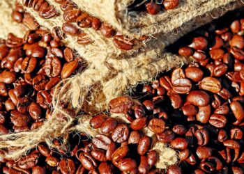 Unlocking the Rich Flavors: The Magic of Medium Roast Coffee Beans