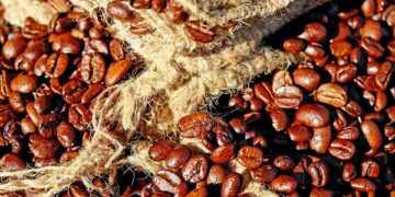 Unlocking the Rich Flavors: The Magic of Medium Roast Coffee Beans