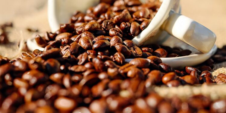 The Rich Flavor of Arabica Beans: Exploring the Elegance of this Premium Coffee Variety