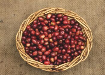 Chill Out with the Ultimate Cold Brew Coffee Beans: A Refreshing Twist on Your Morning Routine