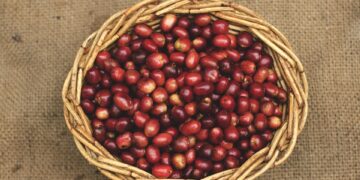 Chill Out with the Ultimate Cold Brew Coffee Beans: A Refreshing Twist on Your Morning Routine