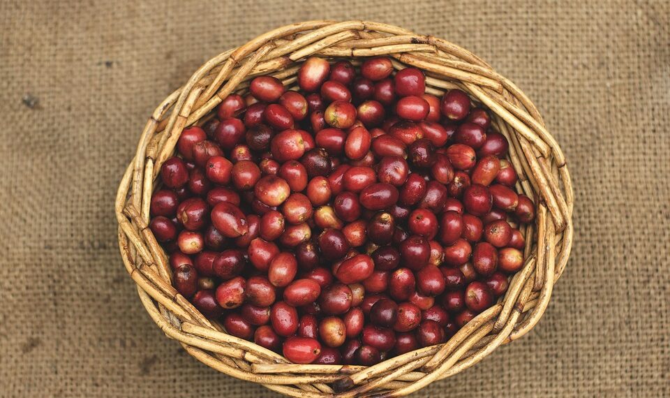 Chill Out with the Ultimate Cold Brew Coffee Beans: A Refreshing Twist on Your Morning Routine