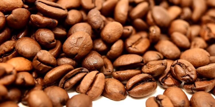 Savor the Rich Aroma of Freshly Roasted Coffee Beans