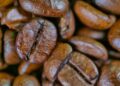 Delve into the Bold and Rich World of Dark Roast Beans