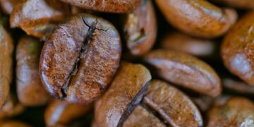 Delve into the Bold and Rich World of Dark Roast Beans
