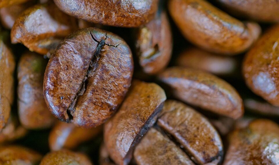 Delve into the Bold and Rich World of Dark Roast Beans