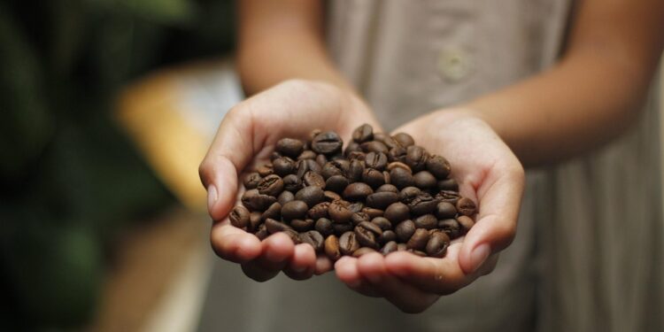 The Art of Coffee: Exploring Unique Bean Varieties for the Perfect Brew