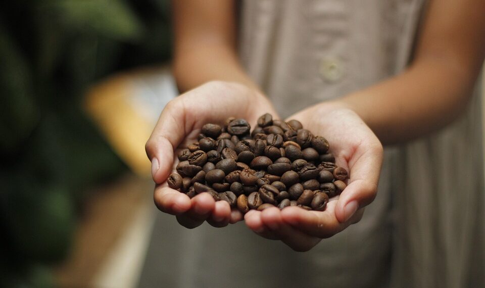 The Art of Coffee: Exploring Unique Bean Varieties for the Perfect Brew