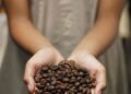 The Art of Coffee: Exploring Different Brewing Techniques for a Perfect Cup