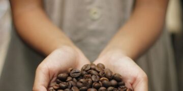 The Art of Coffee: Exploring Different Brewing Techniques for a Perfect Cup