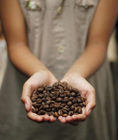 The Art of Coffee: Exploring Different Brewing Techniques for a Perfect Cup