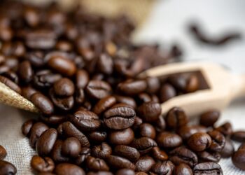 Unleashing the Power of Coffee Beans: From Seed to Cup