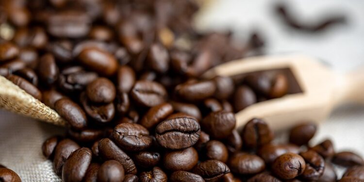 Unleashing the Power of Coffee Beans: From Seed to Cup