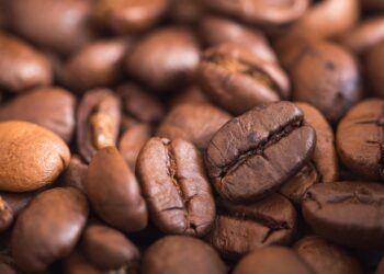 Unlock the Ultimate Coffee Experience with Our Premium Beans