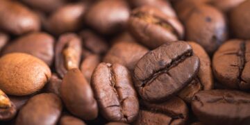 Unlock the Ultimate Coffee Experience with Our Premium Beans