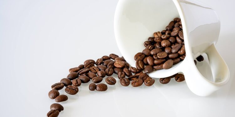 The Bold and Robust Flavor of Robusta Beans: A Coffee Lover’s Delight