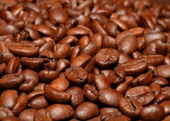 Sustainably Sourced Bliss: Discover the Rich Flavor of Fair-Trade Coffee Beans