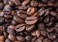 The Art of Coffee: Exploring the Ultimate Brewing Techniques