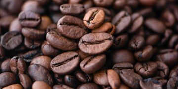 The Art of Coffee: Exploring the Ultimate Brewing Techniques