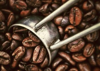 The Perfect Pick-Me-Up: Exploring the World of Espresso Beans