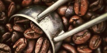 The Perfect Pick-Me-Up: Exploring the World of Espresso Beans