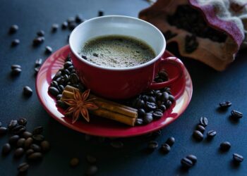 Mastering the Art of Manual Brewing: Elevating Your Coffee Experience