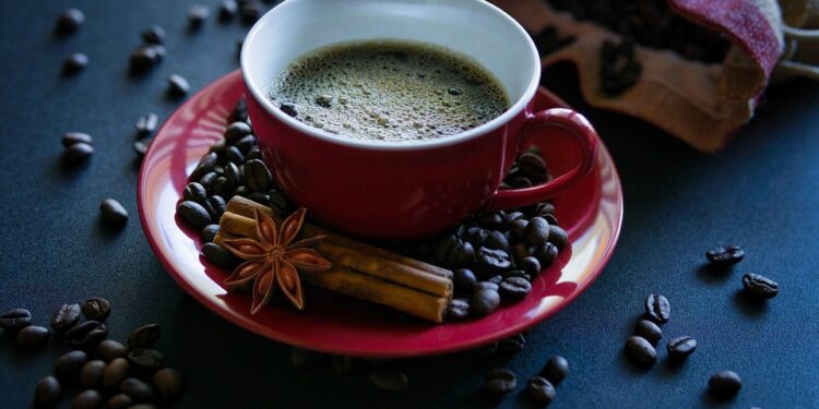 Mastering the Art of Manual Brewing: Elevating Your Coffee Experience