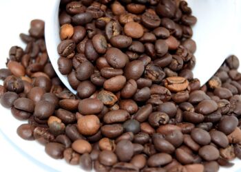 The Art of Coffee: Exploring the Rich and Diverse Flavors of Coffee Beans
