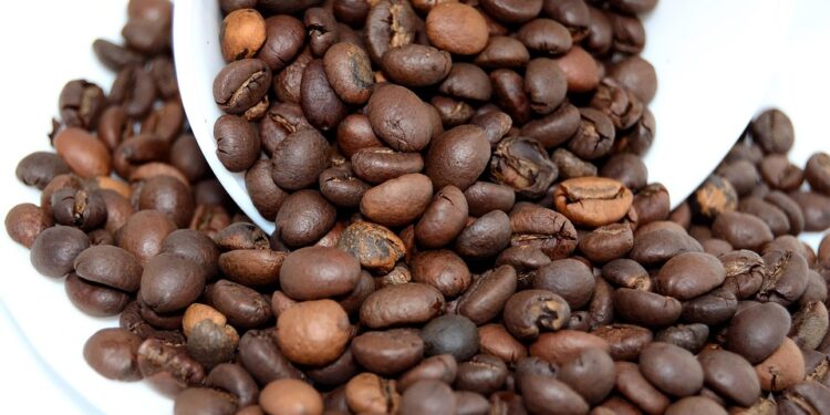 The Art of Coffee: Exploring the Rich and Diverse Flavors of Coffee Beans