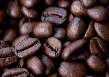 The Essential Guide to Mastering Coffee: From Bean to Brew