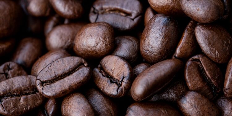 The Essential Guide to Mastering Coffee: From Bean to Brew