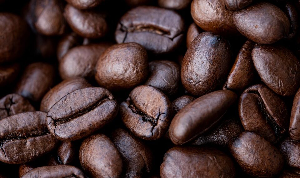 The Essential Guide to Mastering Coffee: From Bean to Brew