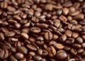 Grind Like a Pro: A Beginner’s Guide to Perfecting Your Coffee Grinding Skills