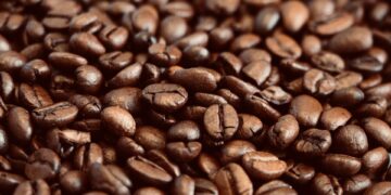 Grind Like a Pro: A Beginner’s Guide to Perfecting Your Coffee Grinding Skills