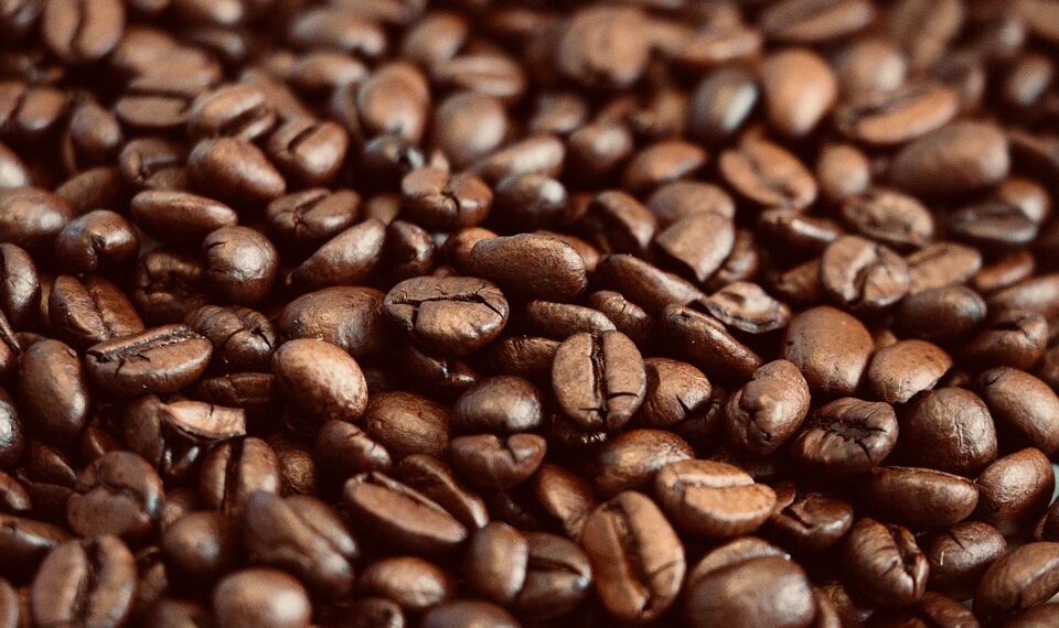 Grind Like a Pro: A Beginner’s Guide to Perfecting Your Coffee Grinding Skills