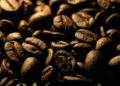 The Ultimate Guide to Coffee: Everything You Need to Know About Your Favorite Brew