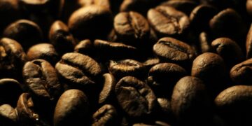 The Ultimate Guide to Coffee: Everything You Need to Know About Your Favorite Brew